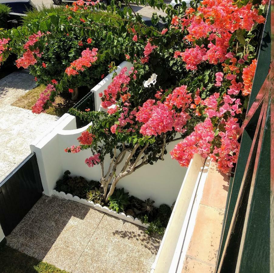 La Barrosa Duplex Villa Chiclana de la Frontera Eksteriør billede